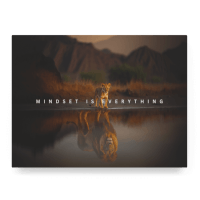 Mindset is Everything IV