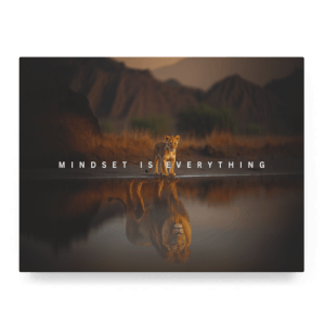 Mindset is Everything IV