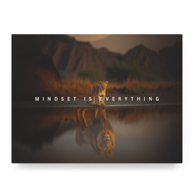 Mindset is Everything IV