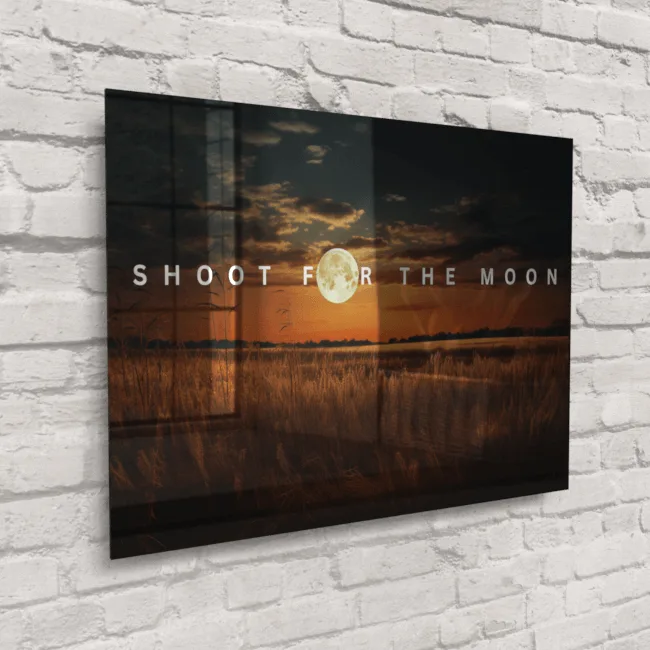Shoot For The Moon
