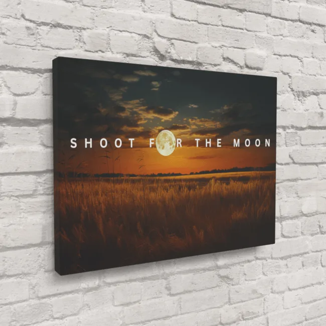 Shoot For The Moon