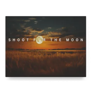 Shoot For The Moon