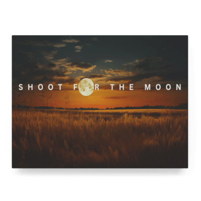 Shoot For The Moon