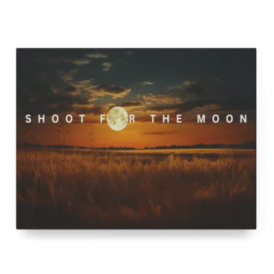 Shoot For The Moon