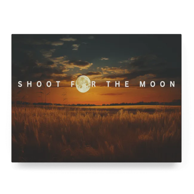 Shoot For The Moon