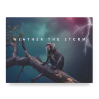 The Storm