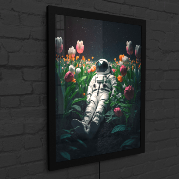BA_Astronauts_Journey_Astronaut_36_LED_Snap_Frame_Mockup