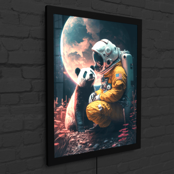 BA_Astronauts_Journey_Astronaut_49_LED_Snap_Frame_Mockup