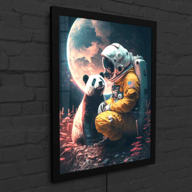 BA_Astronauts_Journey_Astronaut_49_LED_Snap_Frame_Mockup