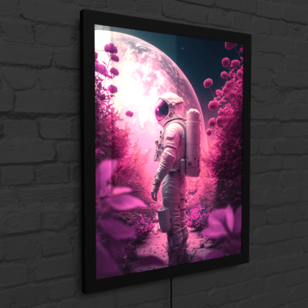 BA_Astronauts_Journey_Astronaut_65_LED_Snap_Frame_Mockup