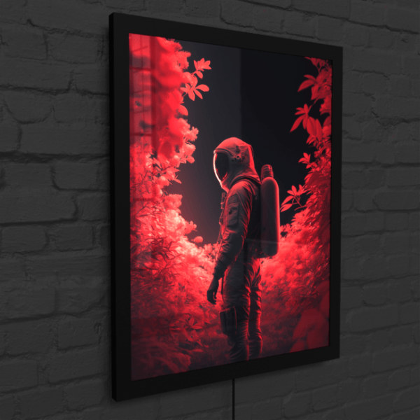 BA_Astronauts_Journey_Astronaut_66_LED_Snap_Frame_Mockup