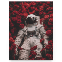 Astronaut's Journey by Kim Poireaux