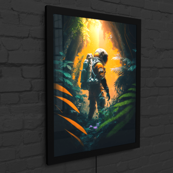 BA_Astronauts_Journey_Astronaut_84_LED_Snap_Frame_Mockup