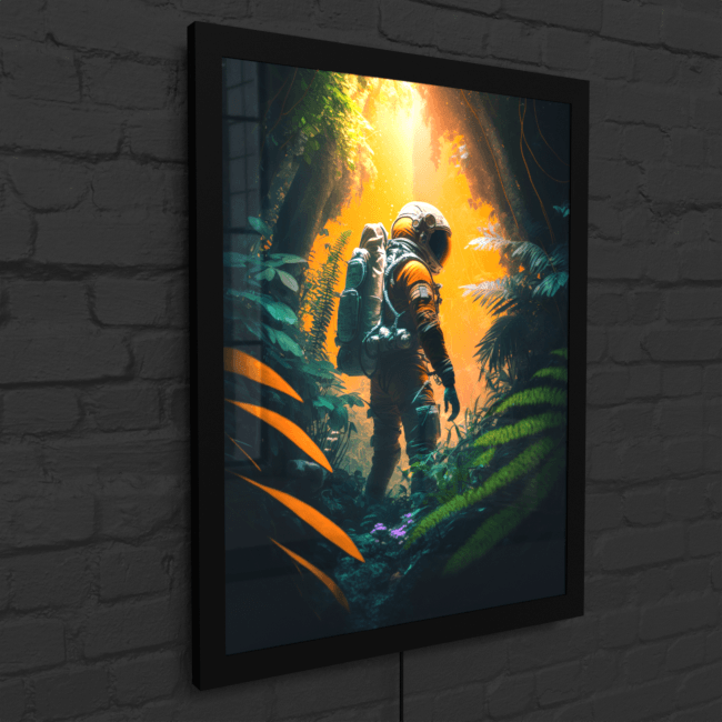 BA_Astronauts_Journey_Astronaut_84_LED_Snap_Frame_Mockup