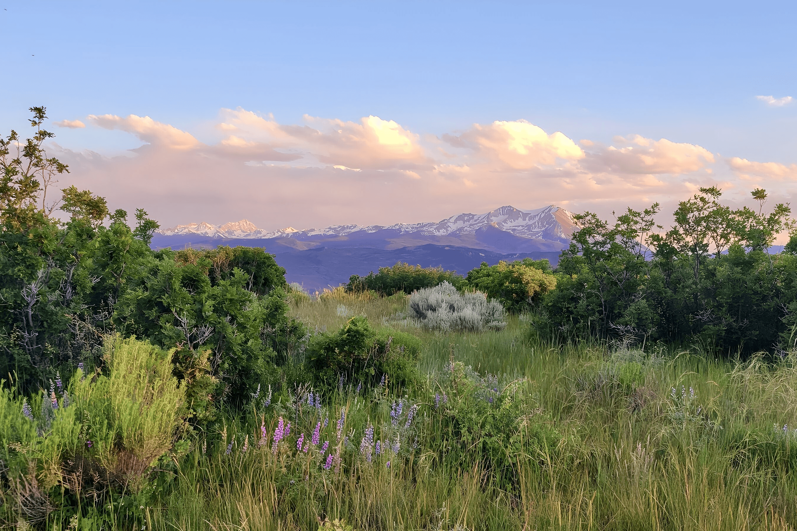 #194313_2_36x24-cropped