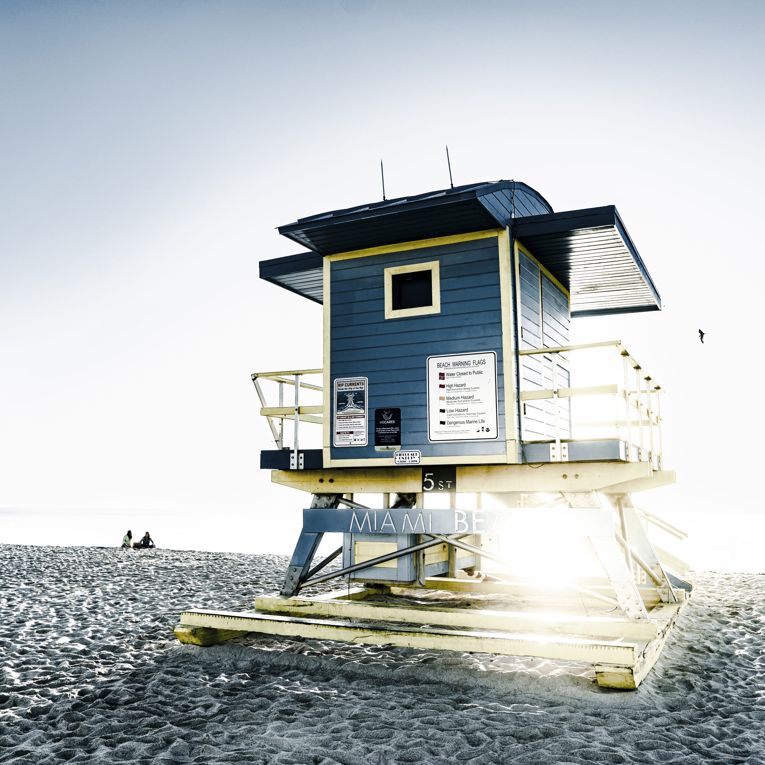 Order #195009_44x44in