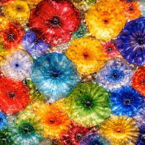 Flowers 9