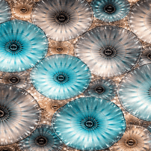 Flowers 4