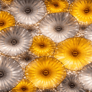 Flowers 3