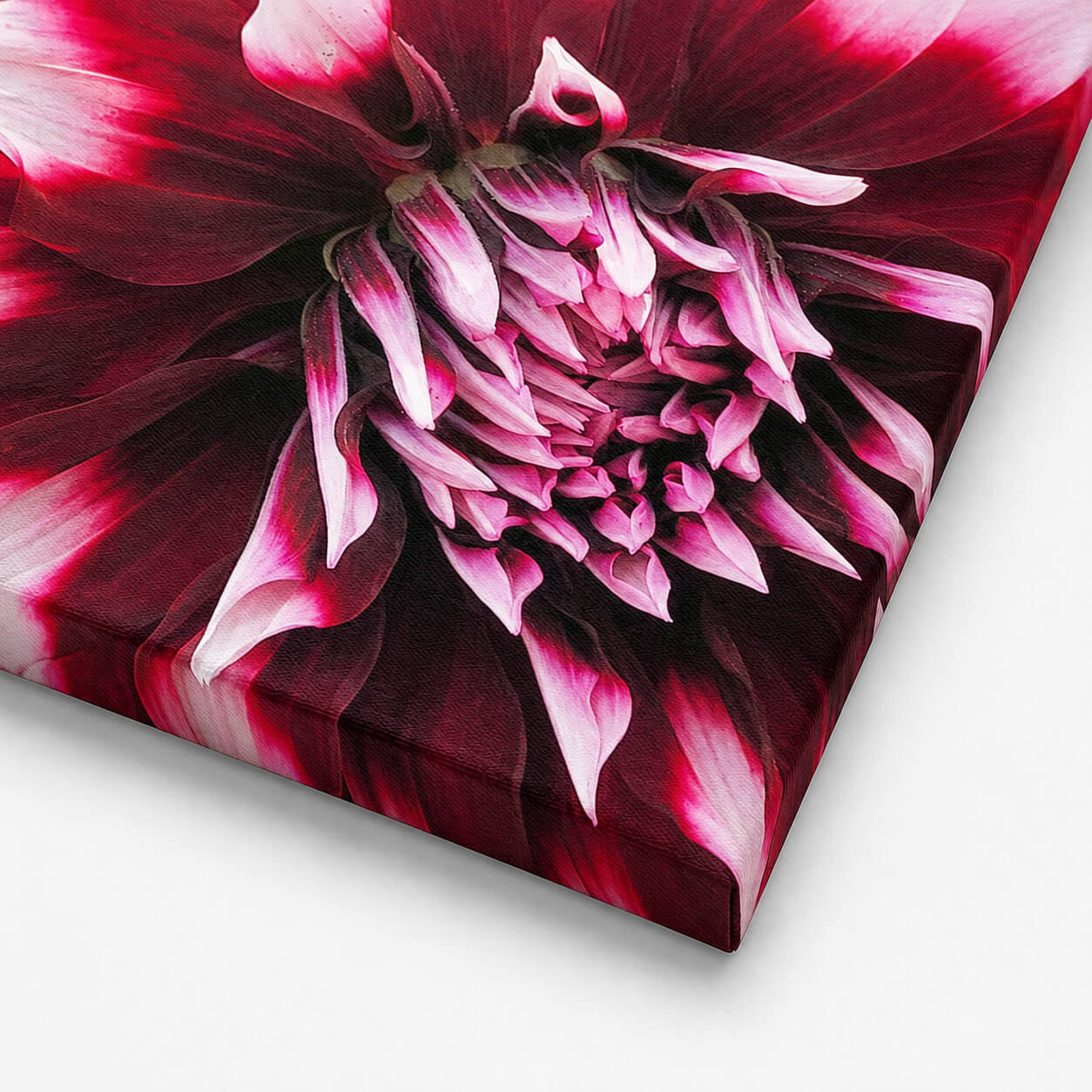 Product Photo Close - Canvas