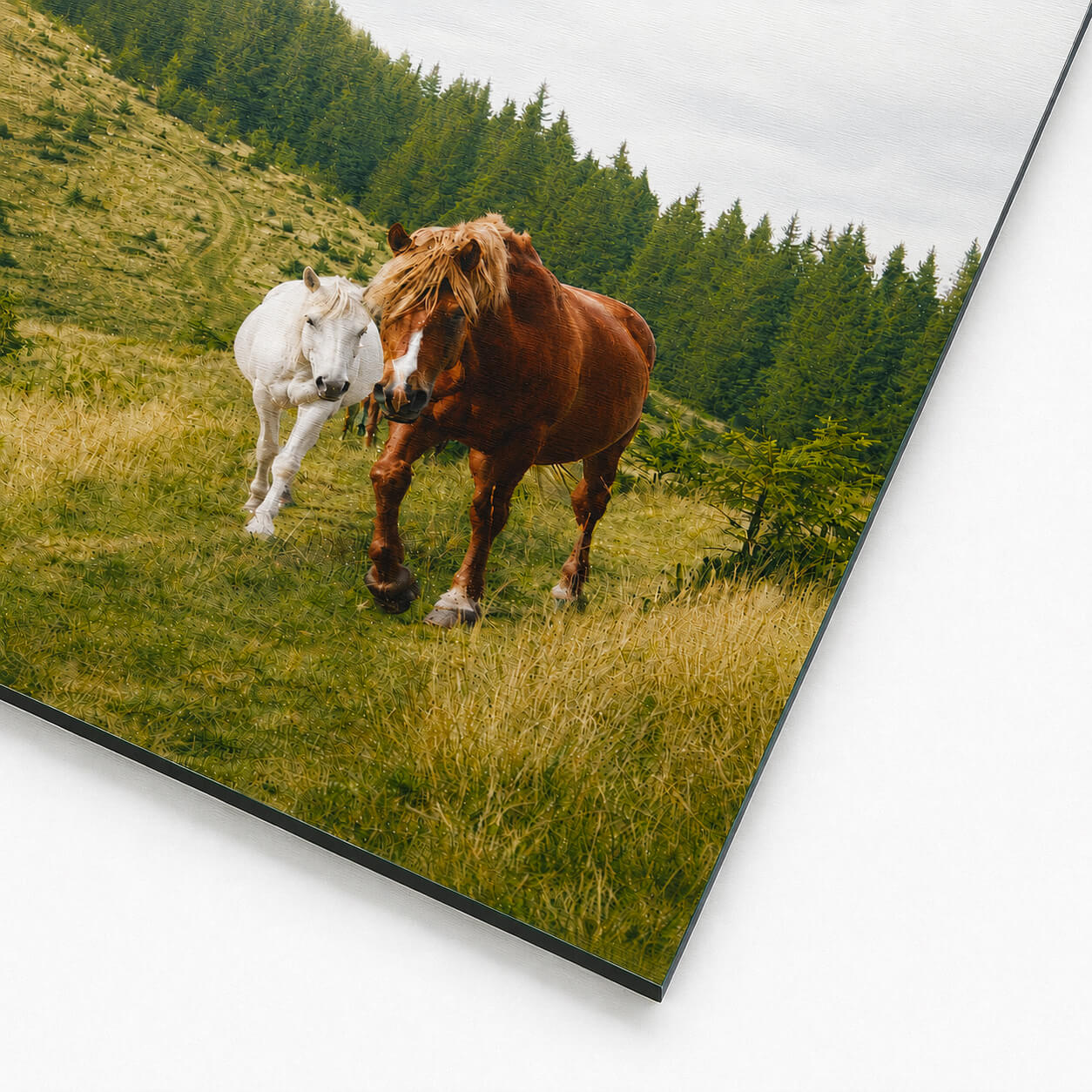 Product Photo Close - White Metal