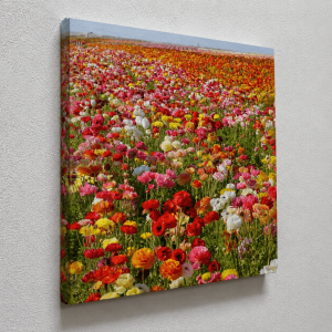 Canvas flowers