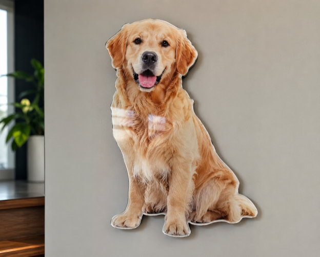 10 Creative Ways to Use Custom Shape Acrylic & Metal Prints
