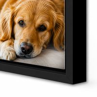 Traditional Frame